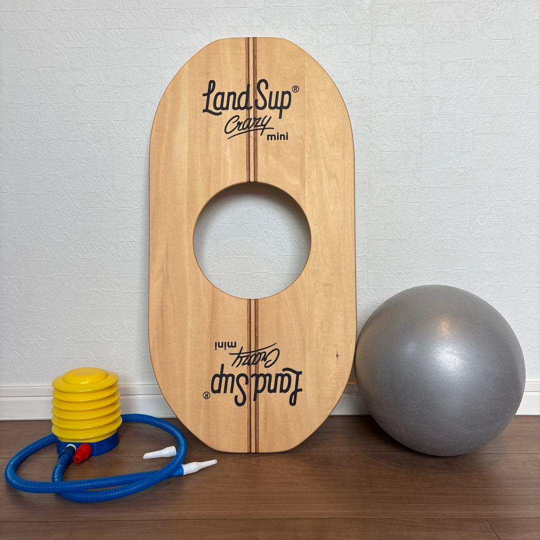 バランスボードLandSup Crazy mini / サーフィンオフトレ