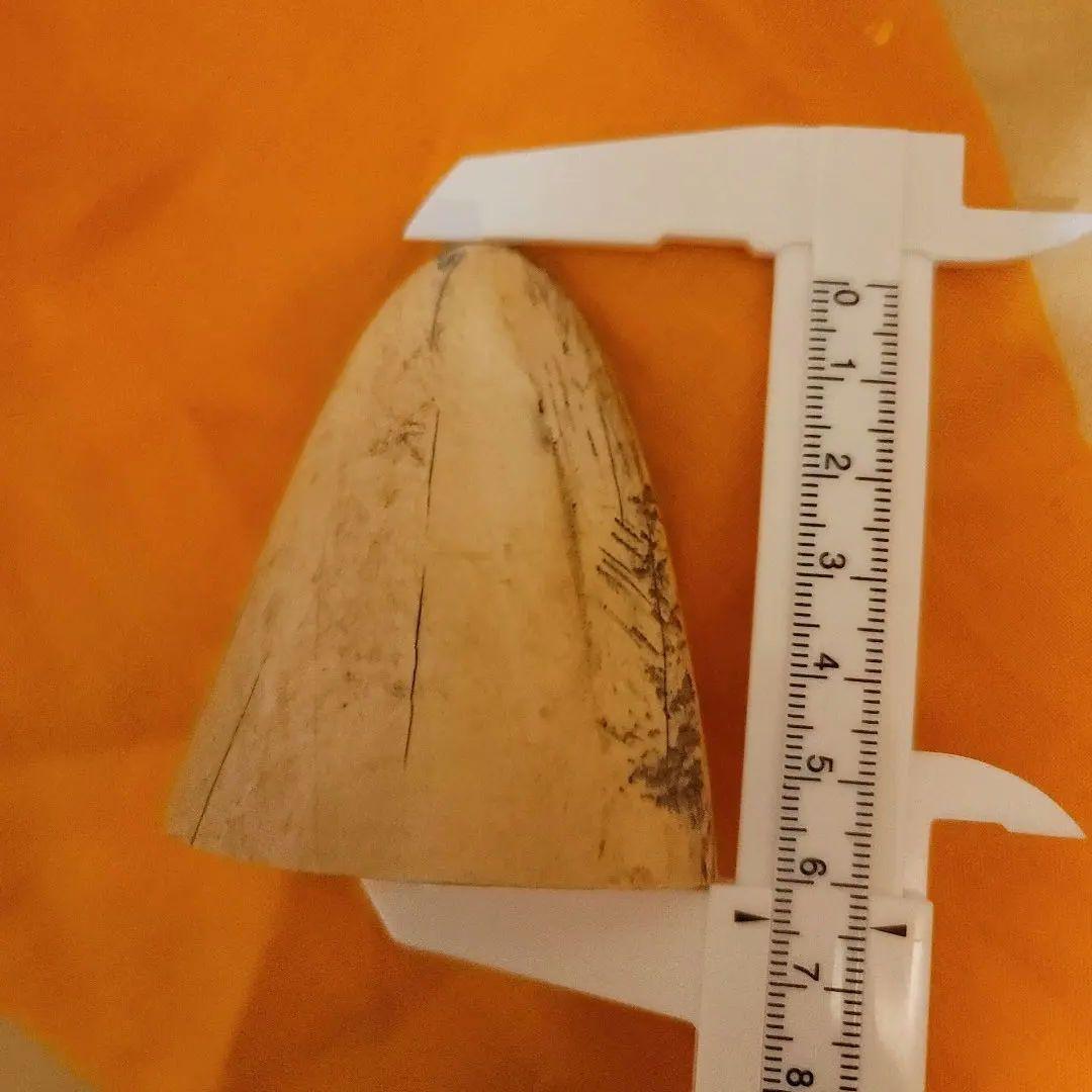 根付 天然 印籠 印鑑 端材 饅頭 彫刻 マンモス調 骨董 印材