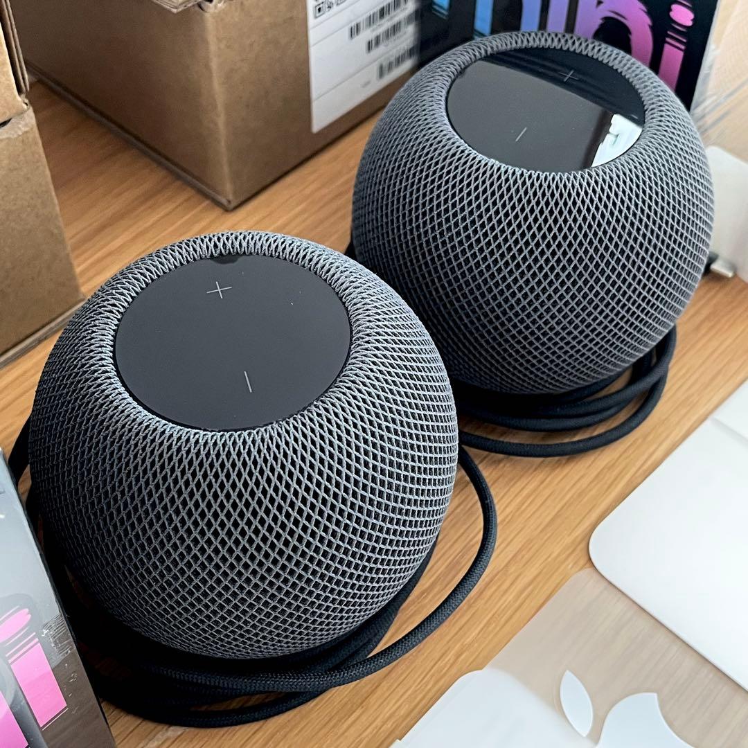 Pod mini 2台セット◇ Space Gray