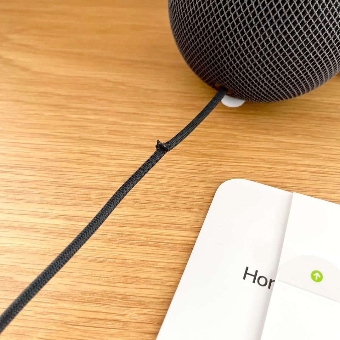 Pod mini 2台セット◇ Space Gray