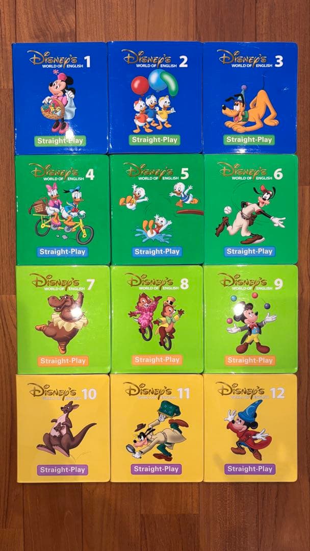 Disney's World of English DVD 12枚セット