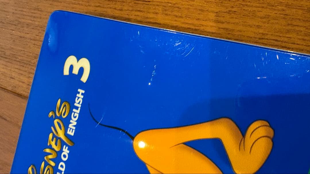 Disney's World of English DVD 12枚セット