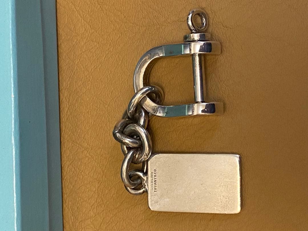 ricky5550 Tiffany & Co. シルバープレートシャックル