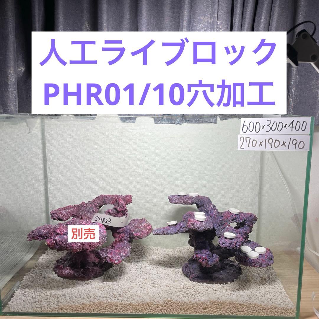 【送料無料】人工ライブロック　PHR01／10穴加工　アク抜き済み安心塗料使用