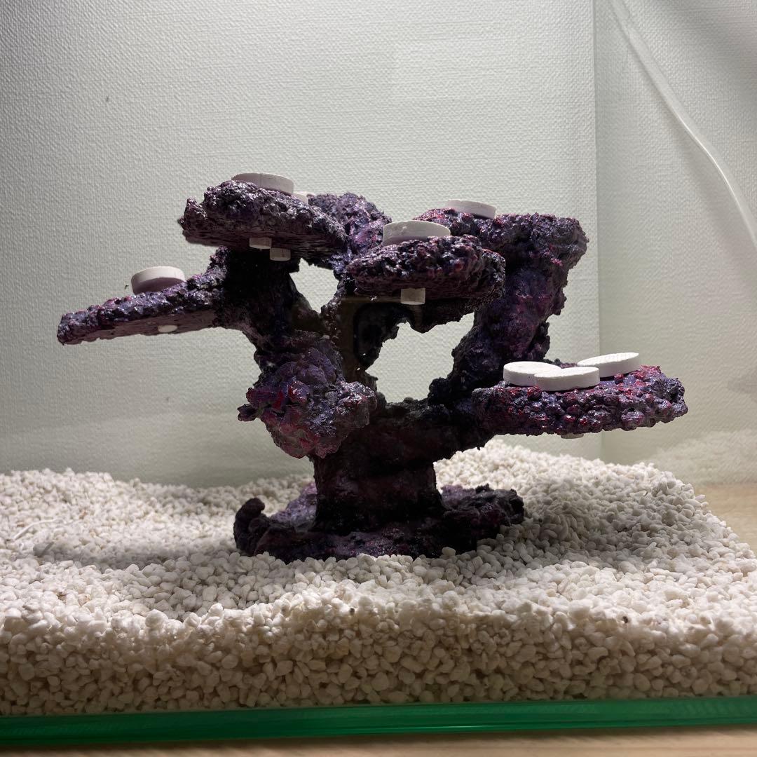 【送料無料】人工ライブロック　PHR01／10穴加工　アク抜き済み安心塗料使用