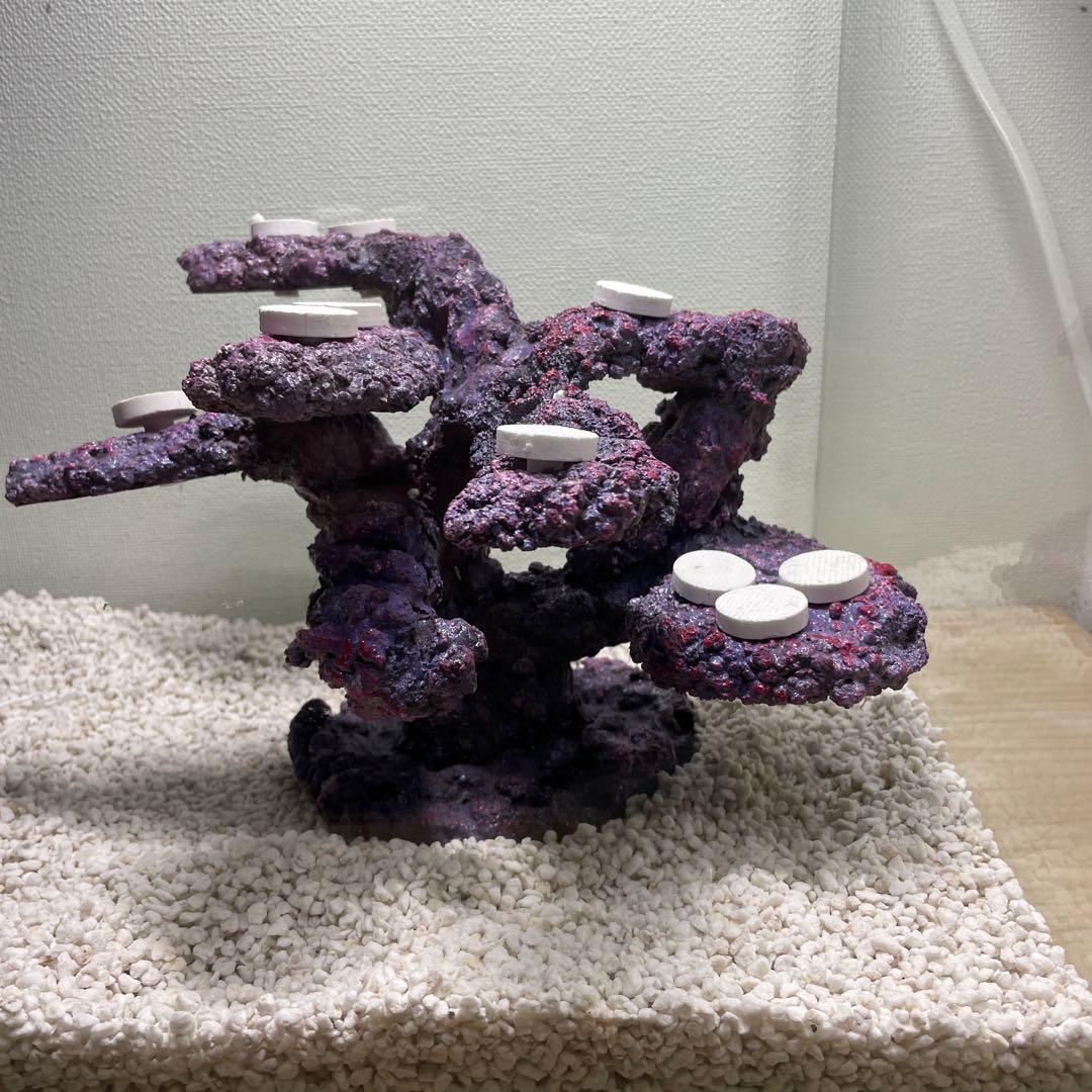 【送料無料】人工ライブロック　PHR01／10穴加工　アク抜き済み安心塗料使用