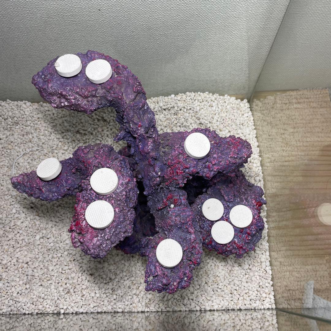 【送料無料】人工ライブロック　PHR01／10穴加工　アク抜き済み安心塗料使用