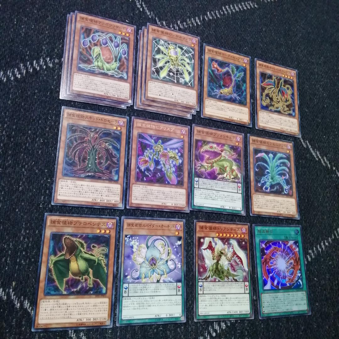 遊戯王　デッキ　捕食植物　プレデター・プランツ　スターヴ　[04656]