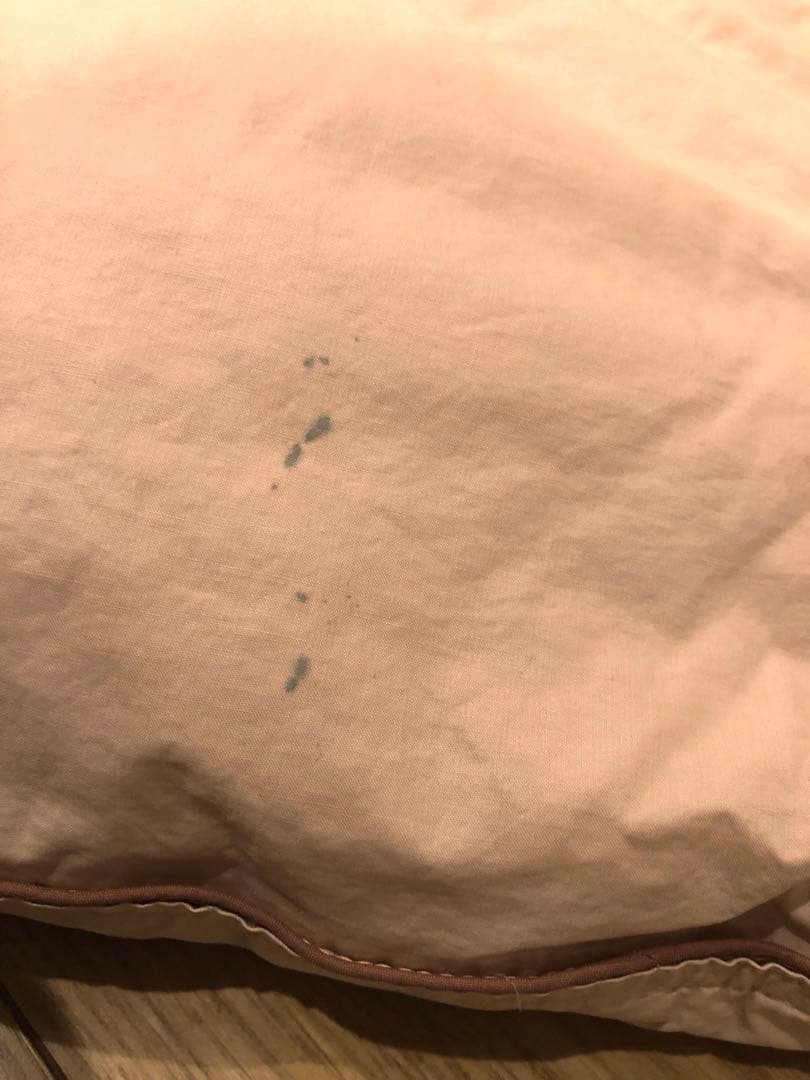 FISBA フィスバ スイス製 ダウン90% ダブル 2.0k 綿100% 一層