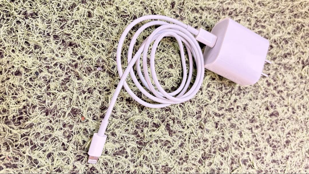 iPad Pro本体 ローズゴールド + Apple Pencil + 充電器