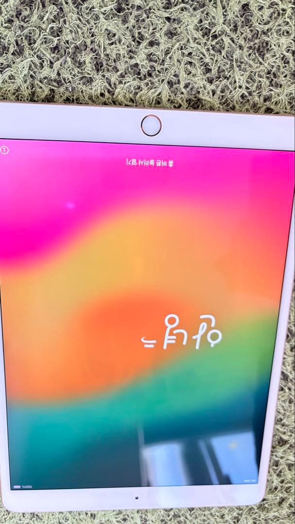 iPad Pro本体 ローズゴールド + Apple Pencil + 充電器