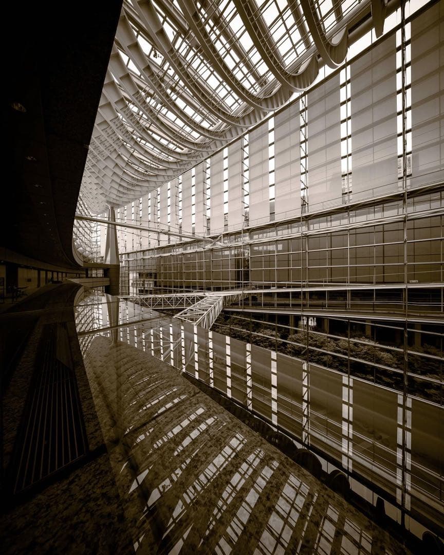 【美品】Laowa 9mm F5.6 W-DREAMER （ニコンZ用)