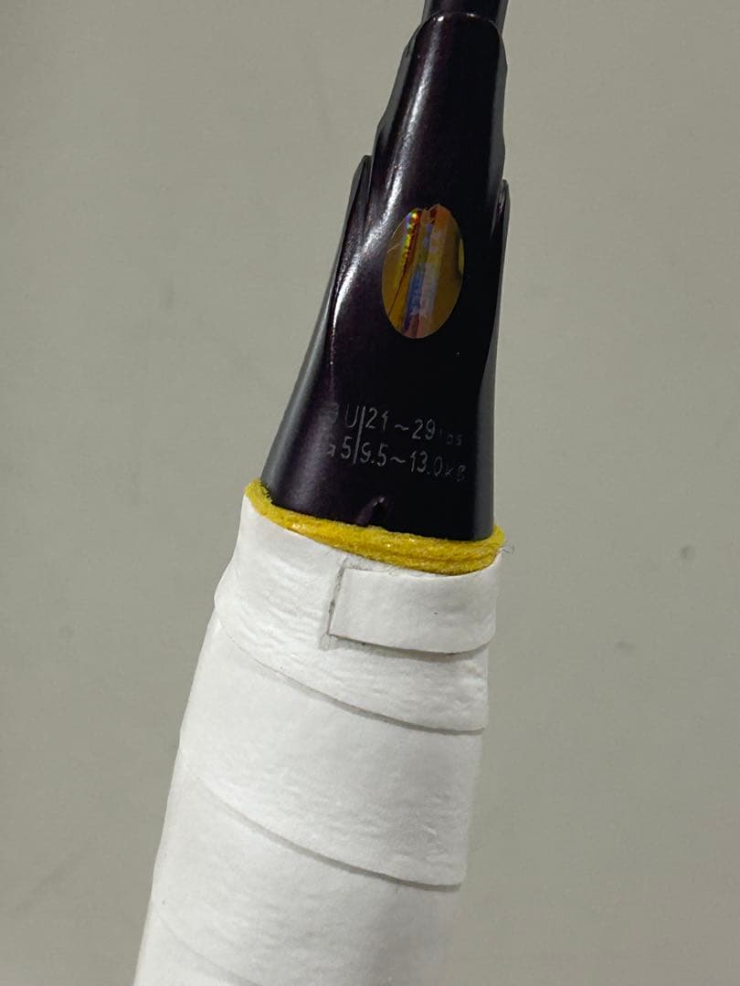 め*ね様 アストロクス100ZZ クレナイ　3UG5 3U5