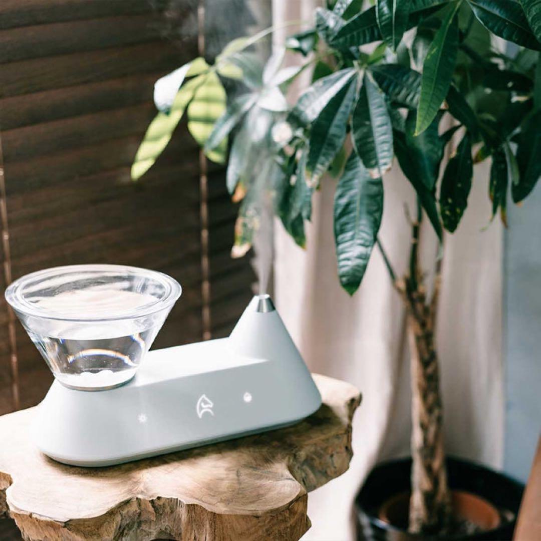 今季完売★最新スマホ加湿器ご褒美家電エペイオスFoElemスマート加湿器Heal