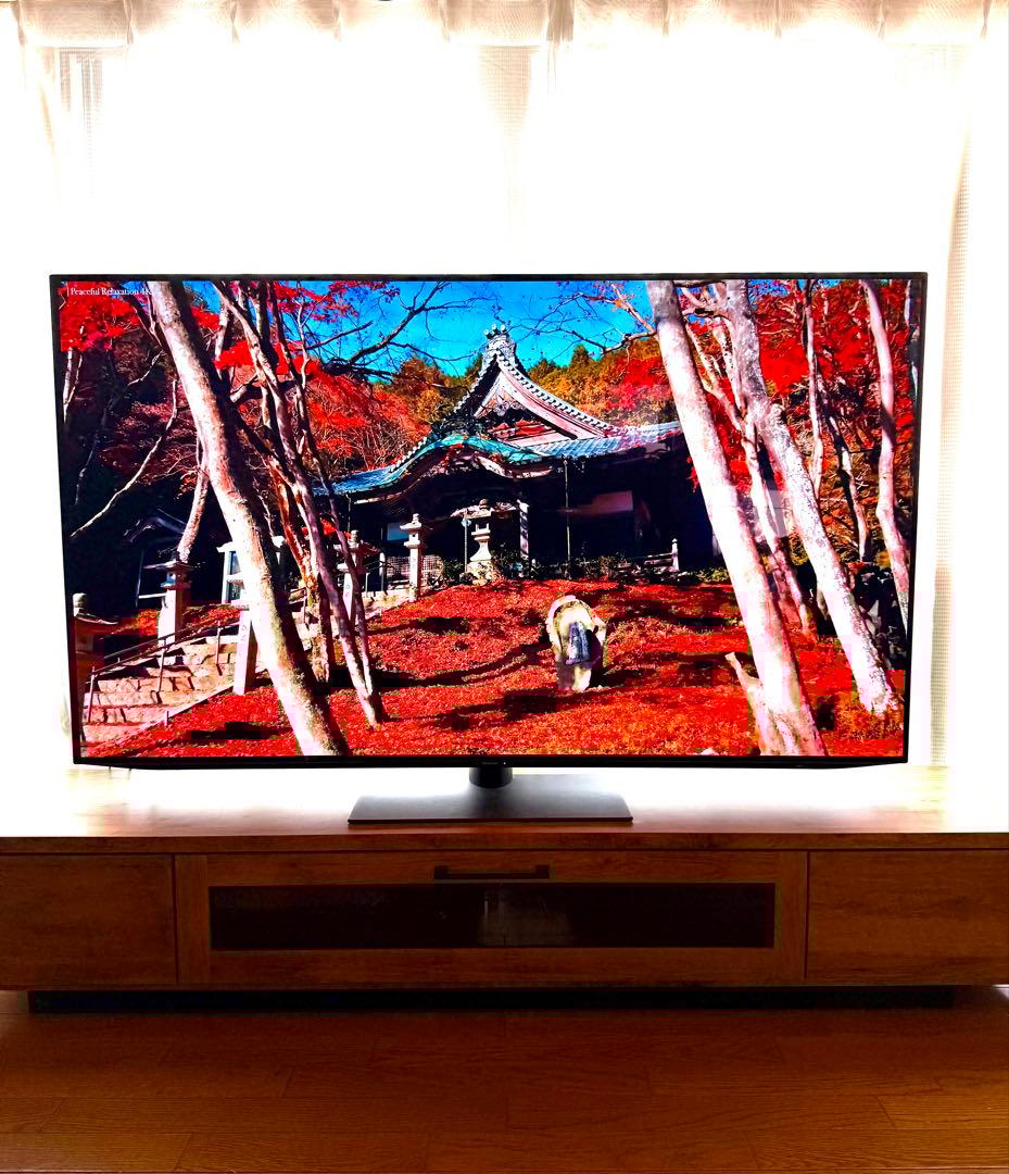 美品65インチ◇有機EL 4Kテレビ　SHARP AQUOS 4T-C65DQ1