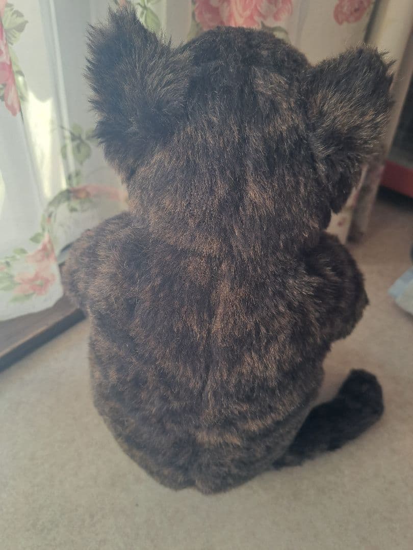 カドリー　猫　金之助