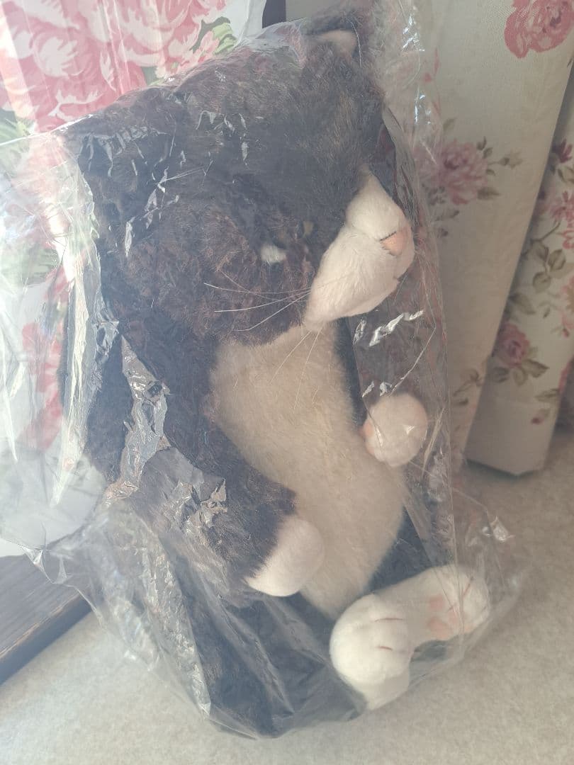 カドリー　猫　金之助