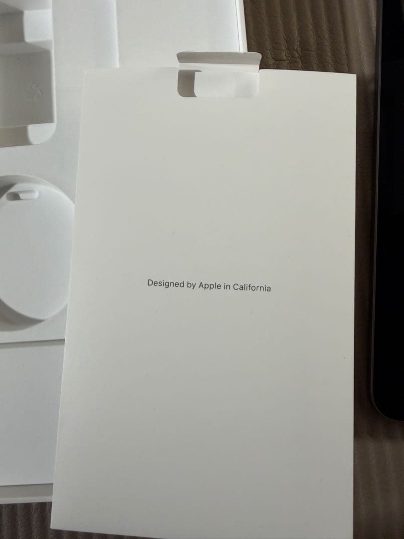 天*水様 画面焼けあり　iPad Pro 12.9インチ 256GB Wi-Fi