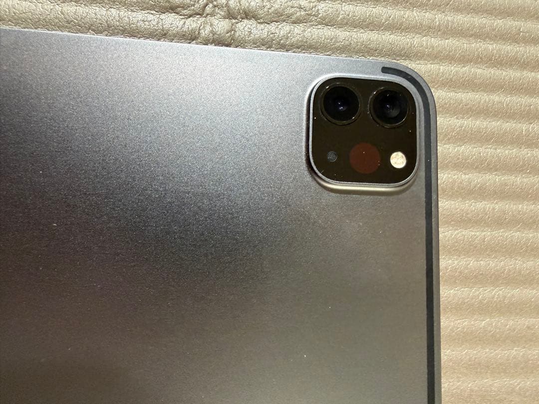 天*水様 画面焼けあり　iPad Pro 12.9インチ 256GB Wi-Fi