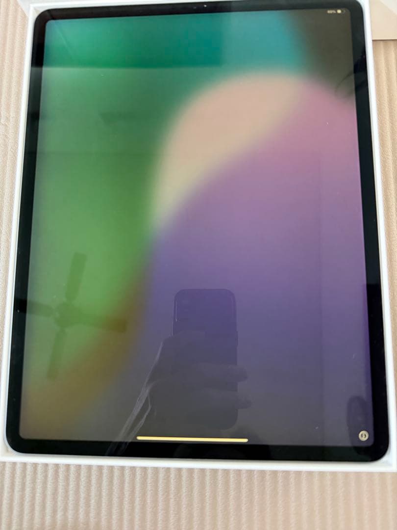 天*水様 画面焼けあり　iPad Pro 12.9インチ 256GB Wi-Fi