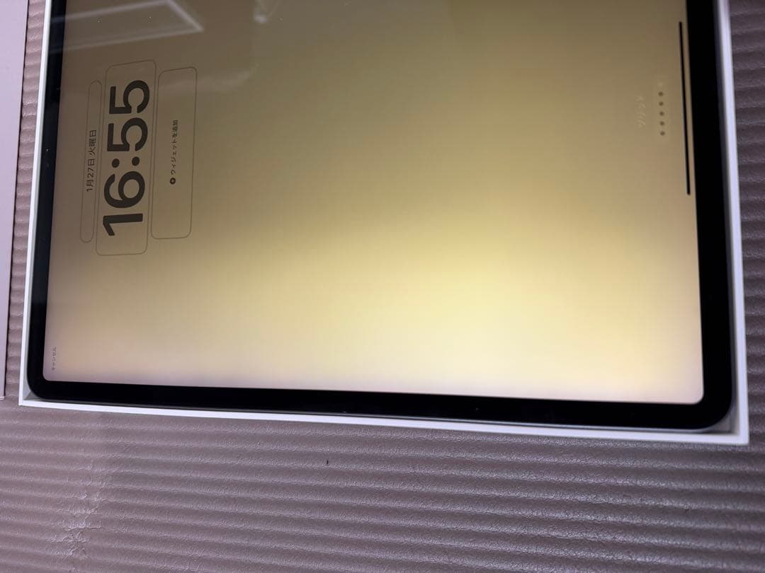 天*水様 画面焼けあり　iPad Pro 12.9インチ 256GB Wi-Fi