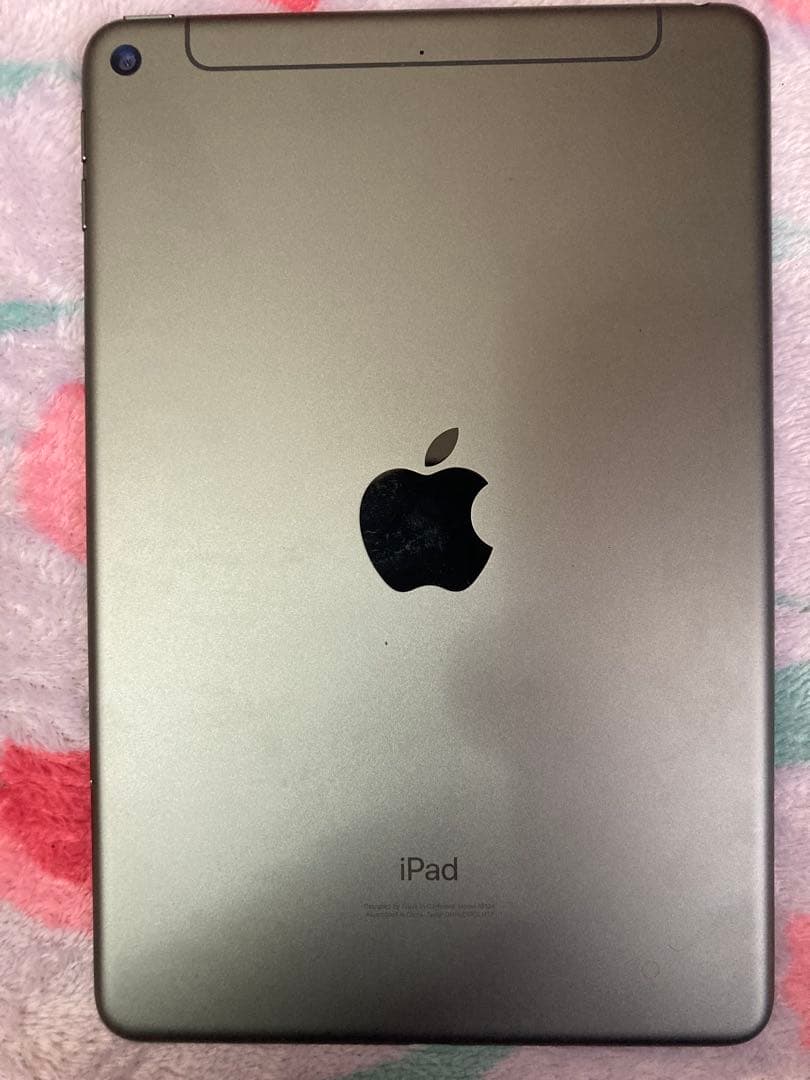 Apple iPad mini第5世代　64GBスペースグレー 本体　箱無し