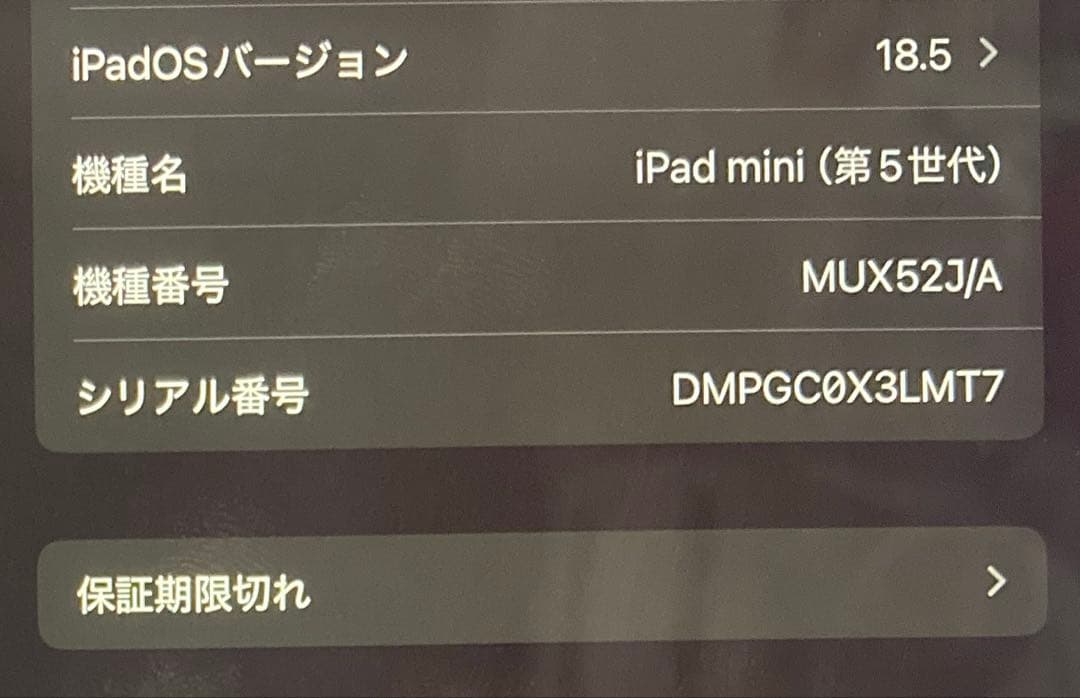 Apple iPad mini第5世代　64GBスペースグレー 本体　箱無し