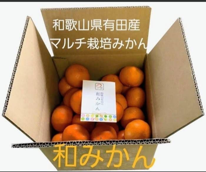 みーちゃん　マルチ栽培　和みかんSサイズ10kg