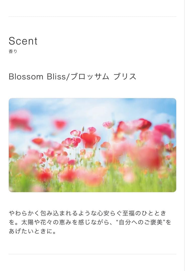 新品プジョリフィールイージーシャンプー＆トリートメント1000mlセット