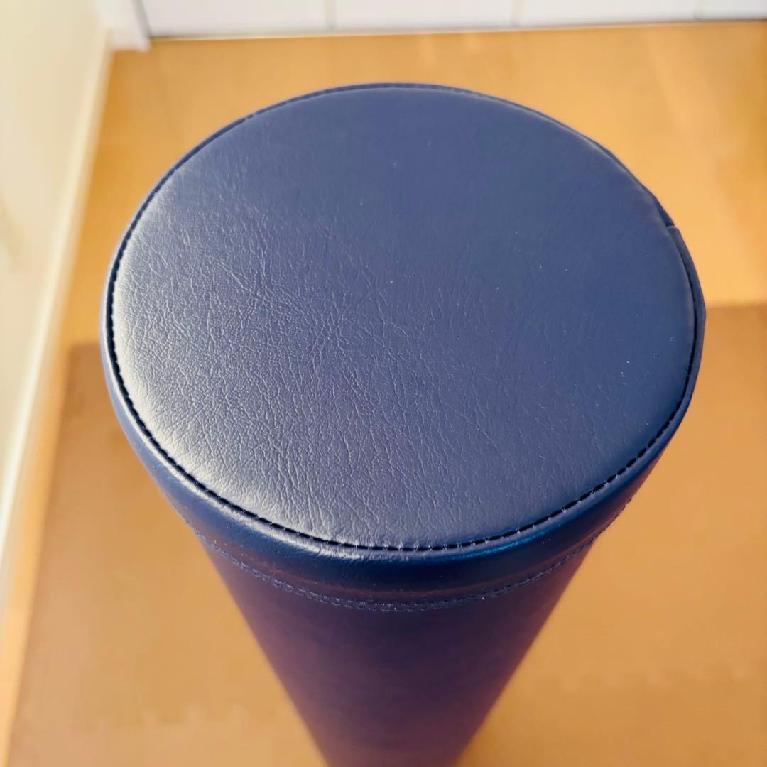 新品 未使用StretchPole LPN ストレッチポール EX DVD付き