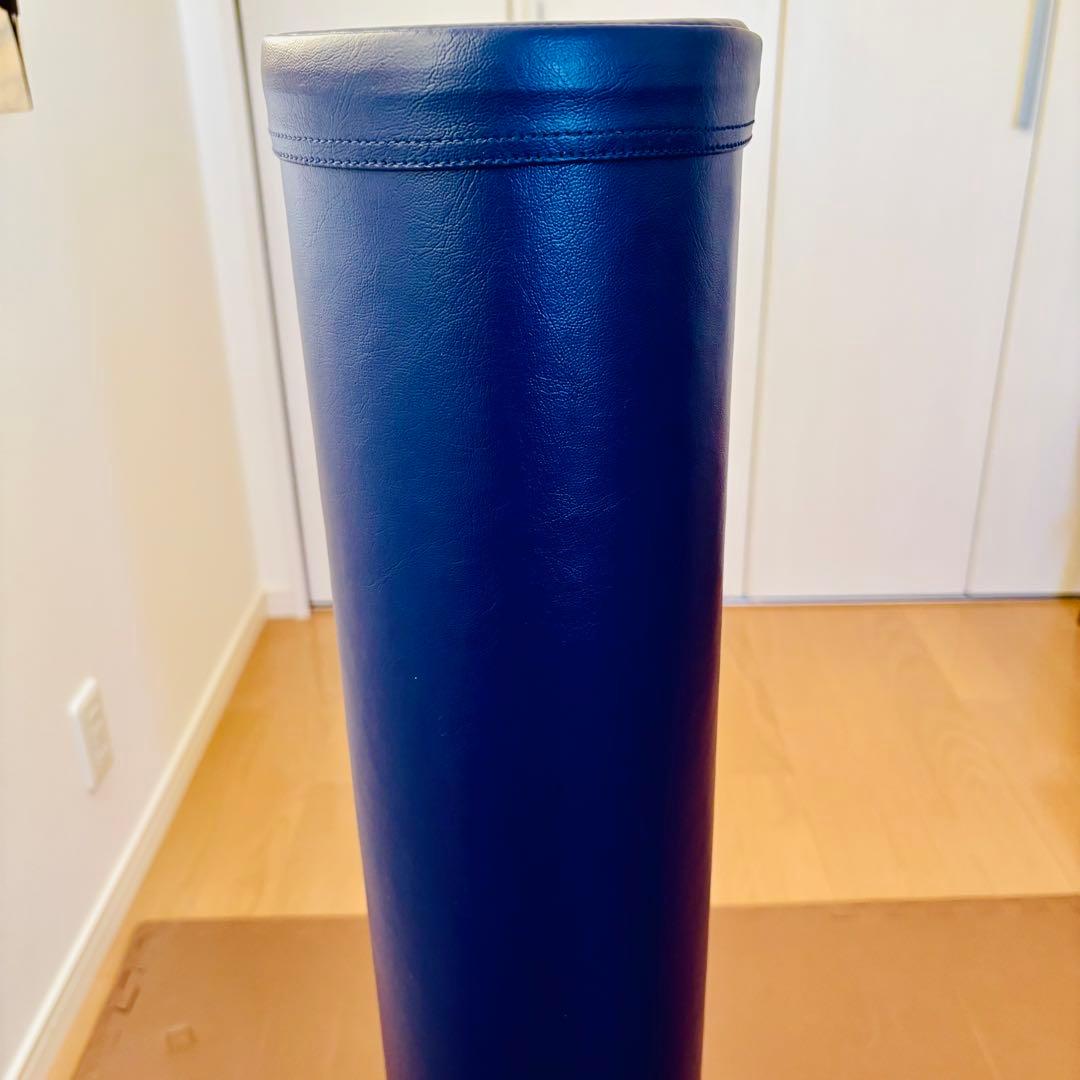 新品 未使用StretchPole LPN ストレッチポール EX DVD付き