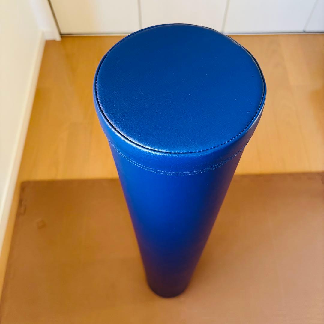 新品 未使用StretchPole LPN ストレッチポール EX DVD付き