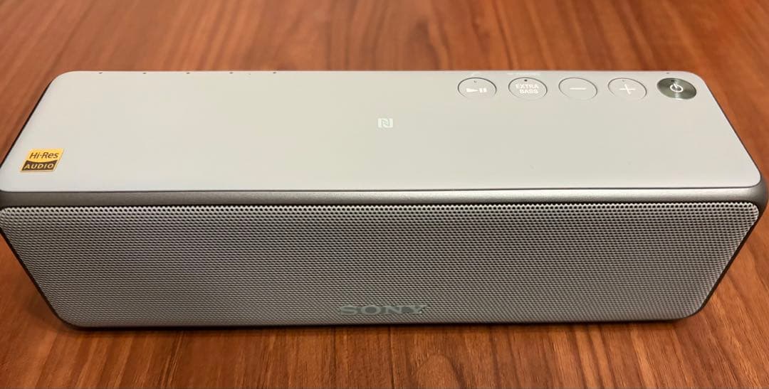 SONY SRS-HG10(G) ホライズングリーン 本体のみ
