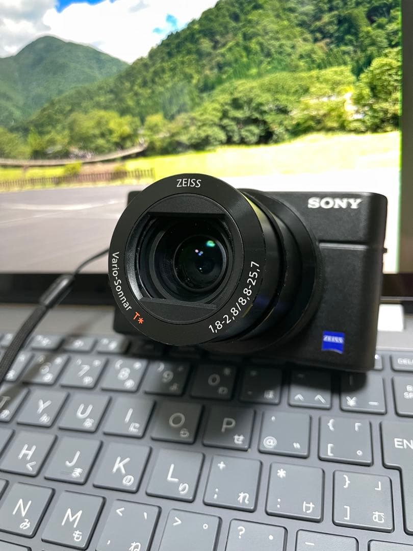 SONY DSC-WX350 コンパクトデジタルカメラ