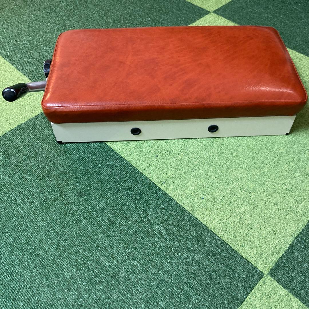 貴重　カイロプラクティック　ドロップ　骨盤　腰椎　距骨　上肢下肢　整体　矯正