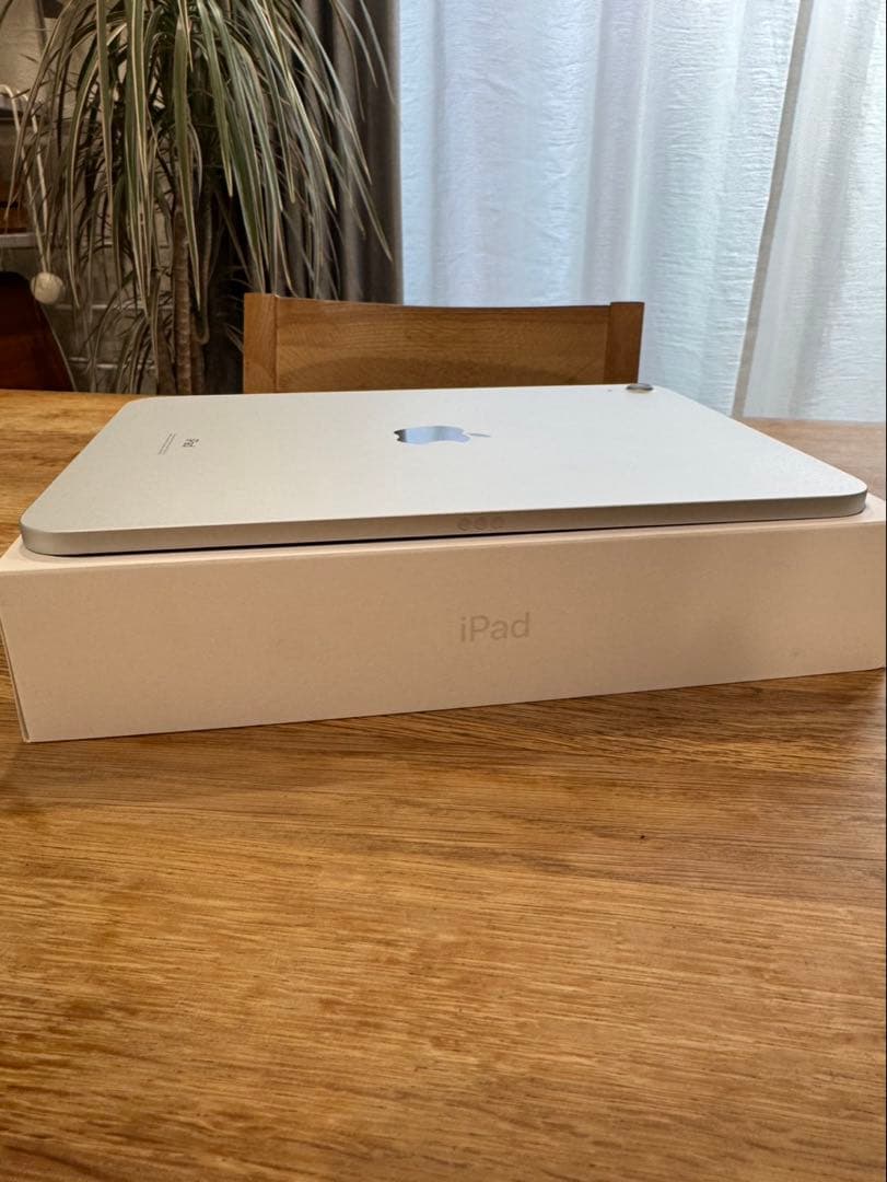 10世代iPad本体 64GB【バッテリー100%】