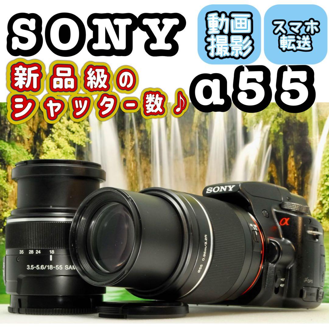 りな様フォロー割_SONY α55 ❤️スマホ転送 ダブルレンズキット