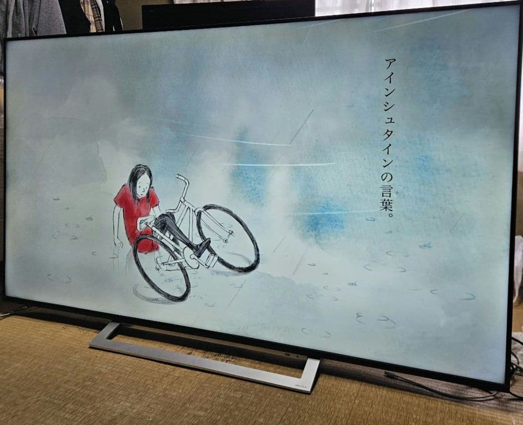 東芝REGZA 65M540X 65インチ 2020年製