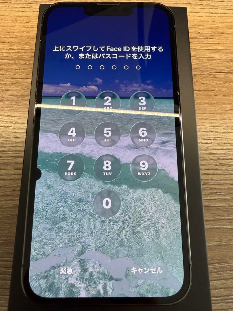 Apple iPhone 13 Pro 1TB 本体