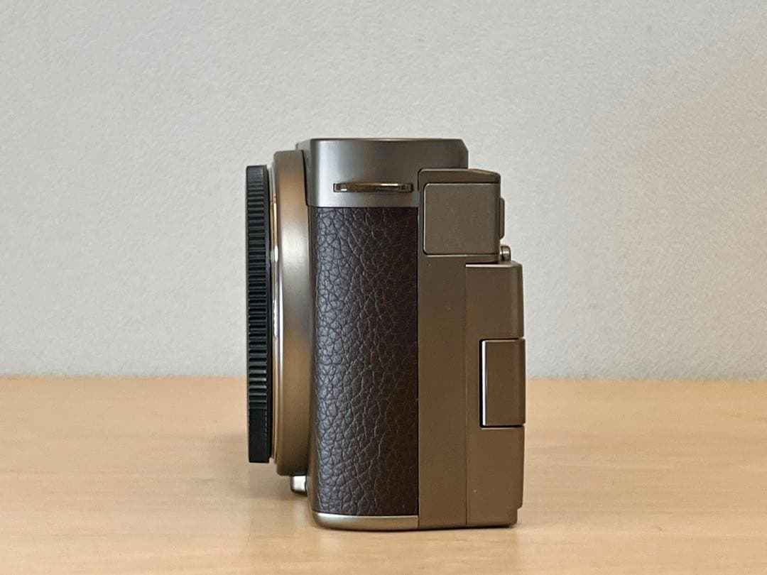 パナソニックLUMIX S9 ボディDC-S9N-N チタンゴールド