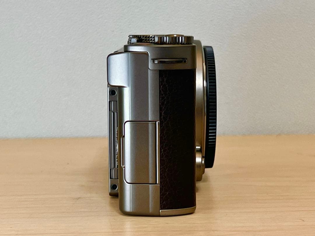 パナソニックLUMIX S9 ボディDC-S9N-N チタンゴールド