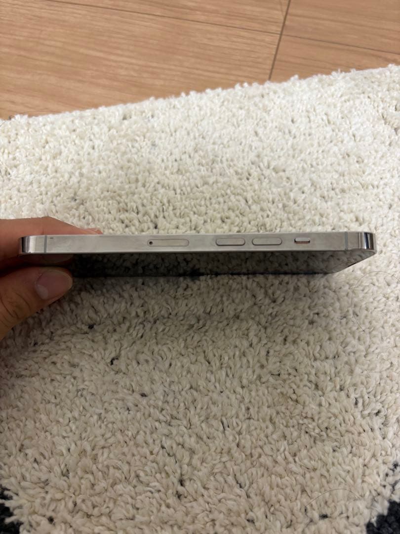 Apple iPhone 13 Pro 256GB シルバー 本体