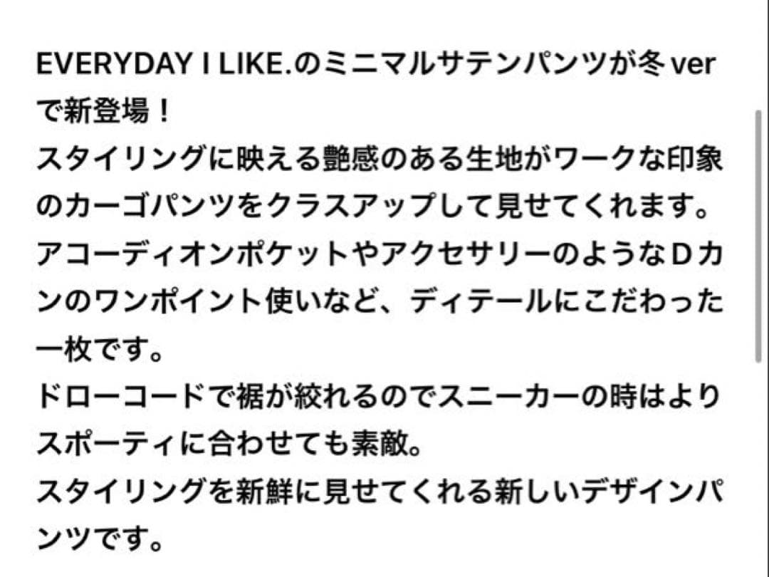 AP STUDIO2024 MinimalSatin Cargo パンツ