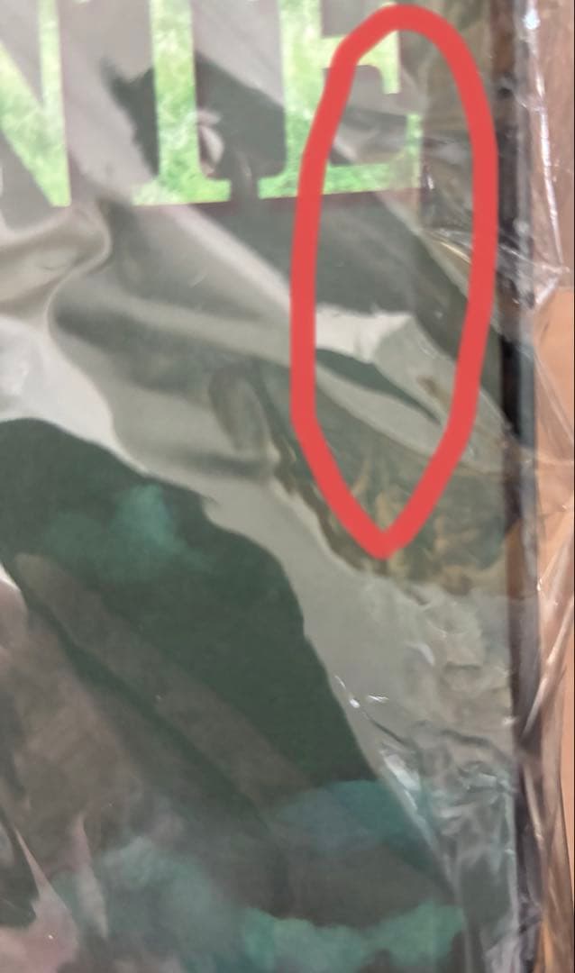 1/6 フィギュア Soosootoys Greenvigilante