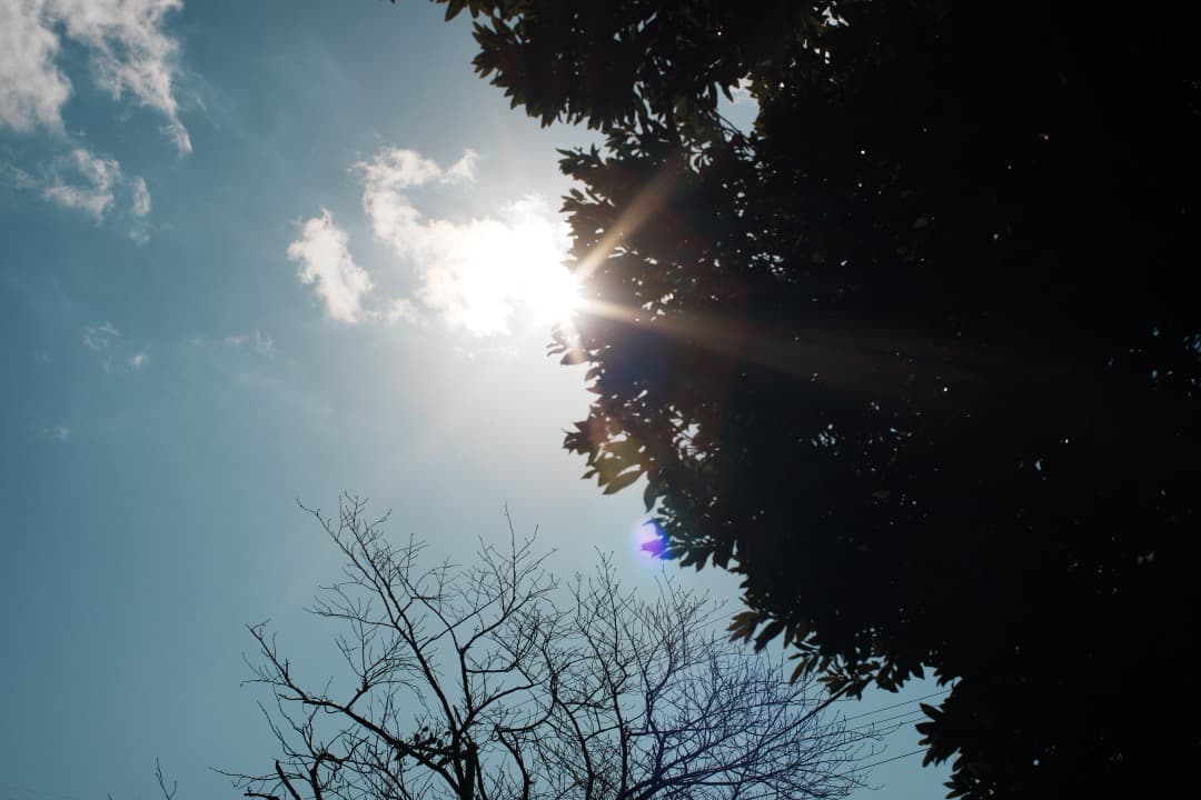 【極美品】動作◎ オリンパス Zuiko Auto-s 40mm F2 728