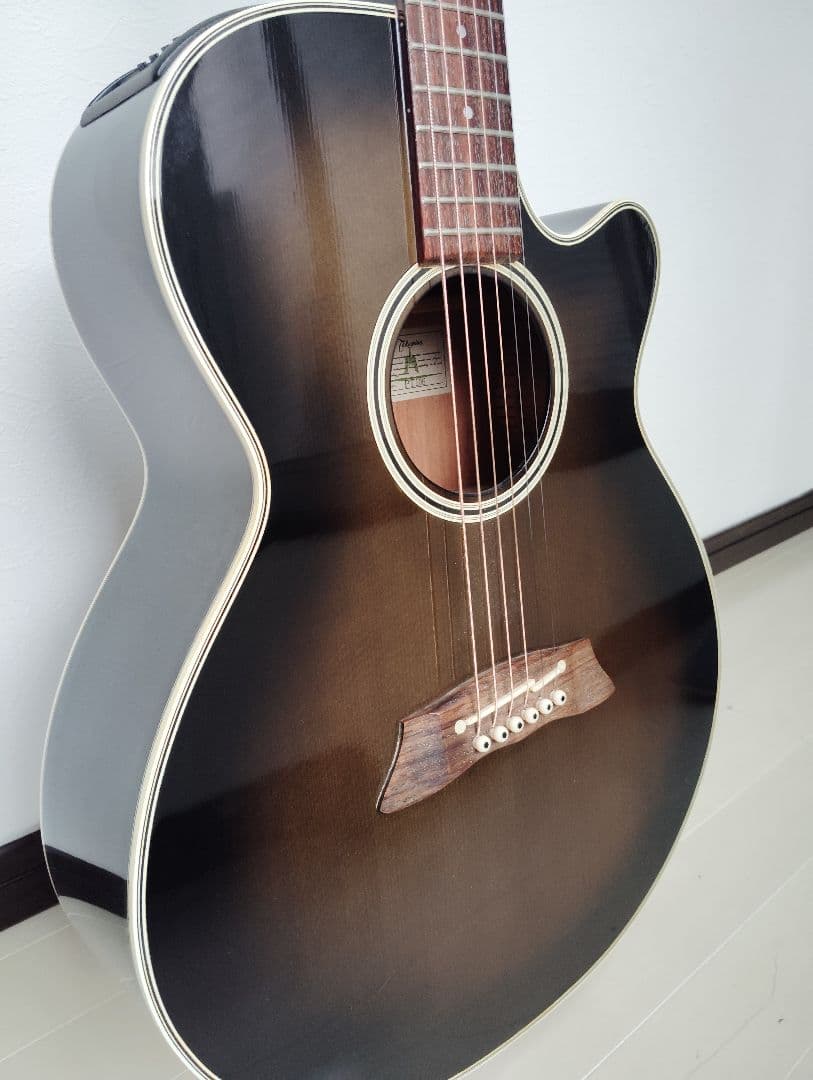Takamine エレアコ　PT106