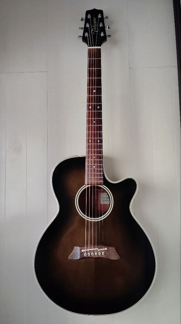 Takamine エレアコ　PT106
