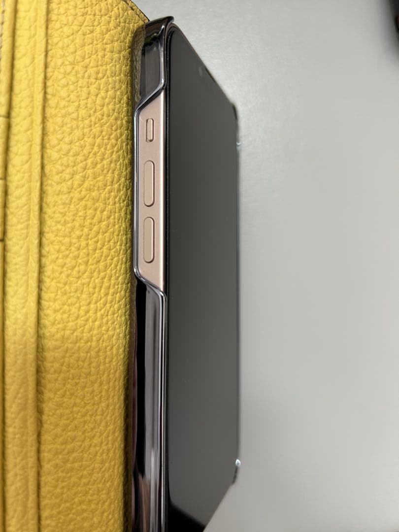 【ストラップ付き】 ボナベンチュラ iPhone14 ケース 交換用ケース付属