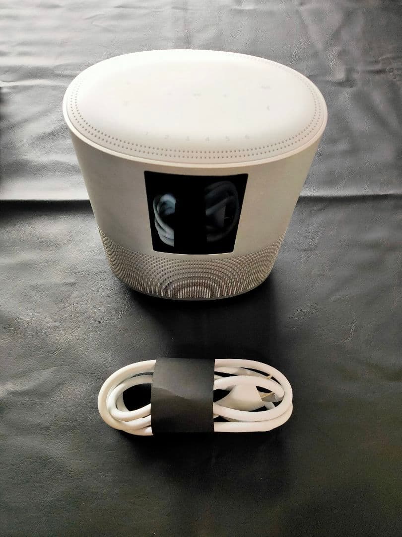 Bose  Speaker 500 シルバー 本体と電源ケーブル
