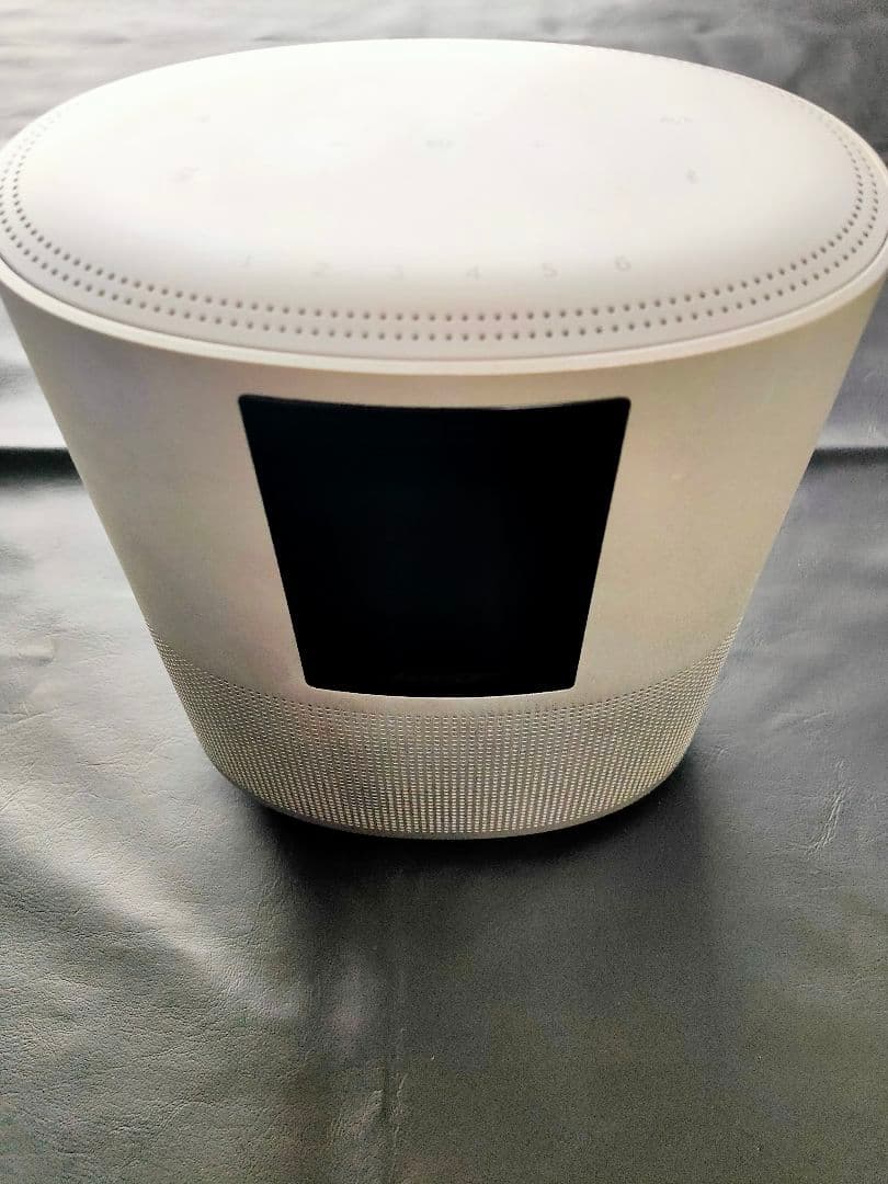Bose  Speaker 500 シルバー 本体と電源ケーブル